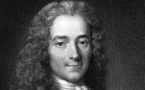 Où est passée la statue de Voltaire?