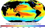 L'acidification des océans menace l'économie mondiale