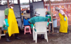 Le virus Ebola ou la viralité médiatique