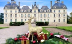 Féerie de Noël : Magnificence et gourmandise au Château de Cheverny