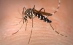 Le vaccin contre la dengue