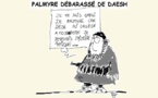 Palmyre libéré de Daesh 