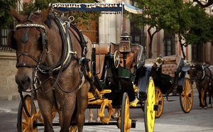 Fin des calèches à Carthagène des Indes 