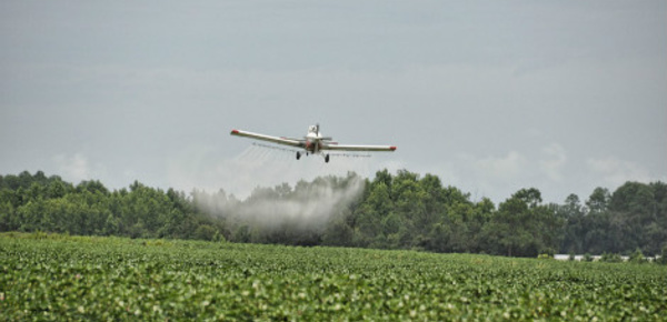 La France viendra-t-elle à bout des pesticides?
