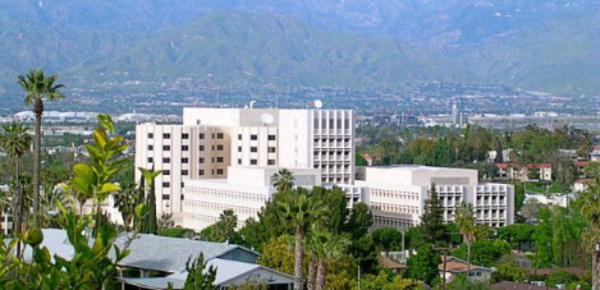 Ellsworth Wareham dévoile le secret de sa longévité