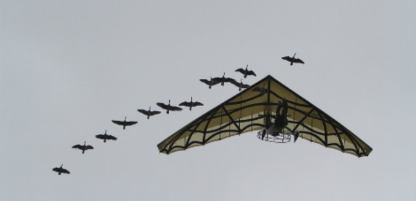 Un baptême de fauconnerie au Puy du Fou
