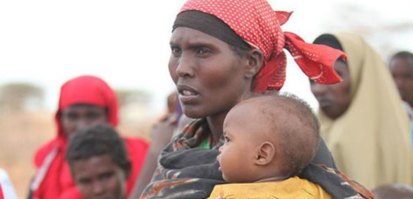 La région du lac Tchad: une crise humanitaire alarmante