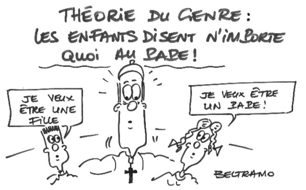 Théorie du genre, mise en question