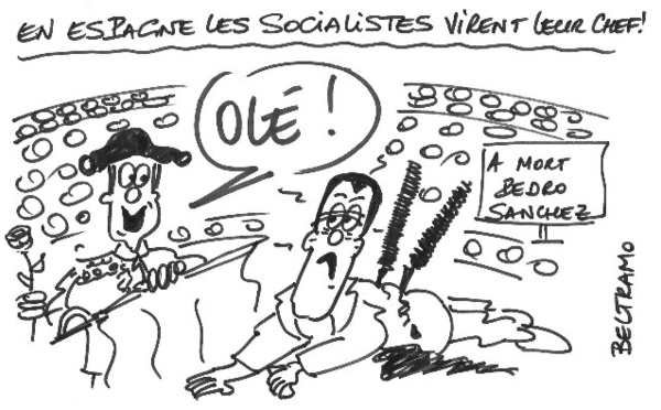 Dans l'arène politique