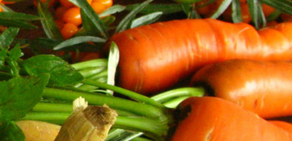 L'agriculture bio, où en est-on vraiment?