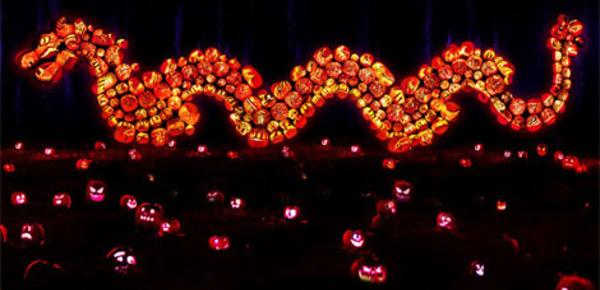 Rise of the Jack O'Lanterns: plongée au cœur d'un festival féerique pour Halloween