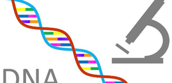Fichage ADN: Le rétropédalage de l'Émir du Koweït