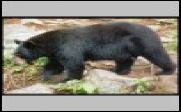 Du Canada aux rivages méditerranéens