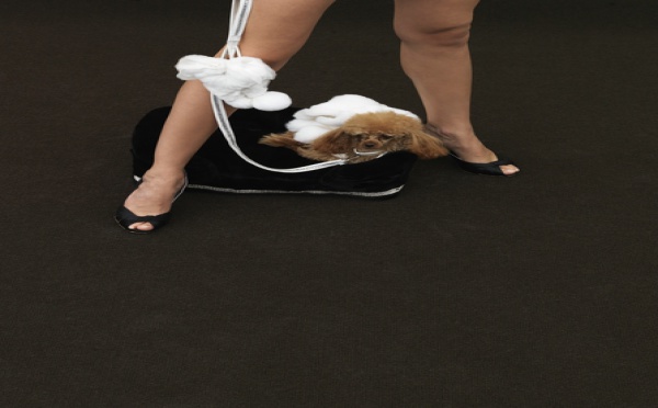 Collection automne / hiver 2008-09 de Carlo Ramello