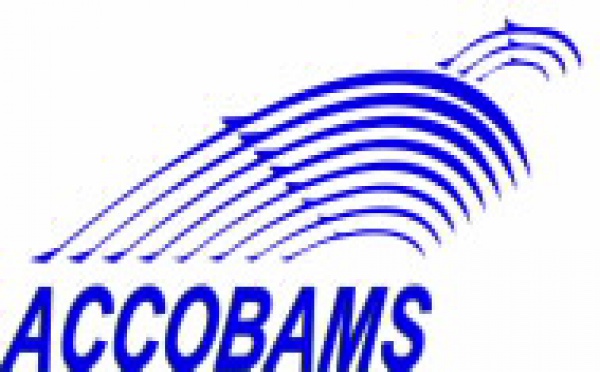 SAUVETAGE - Un dauphin égaré dans le port de Monaco