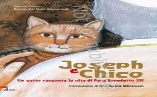 Ce que Chico savait sur Joseph