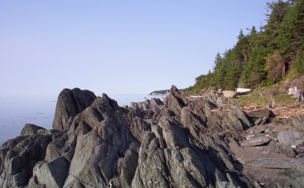 Le Québec et Monaco collaborent pour la protection de l'environnement