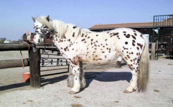 INSOLITE - Du nouveau à propos de la crise