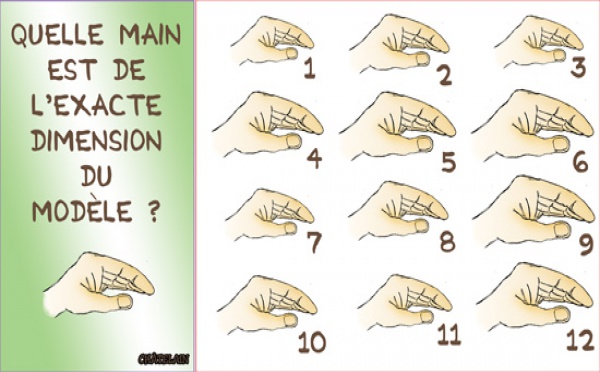 JEU d'observation du 26 octobre 2008