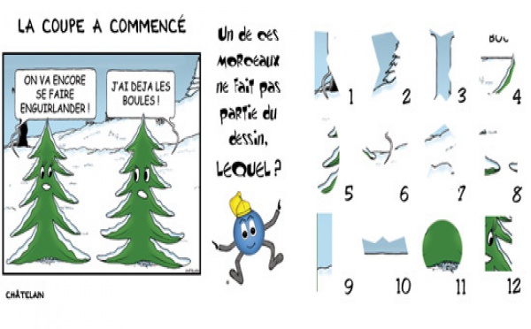 JEU d'observation du 1er novembre 2008