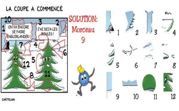 SOLUTION JEU d'observation du 1er novembre 2008