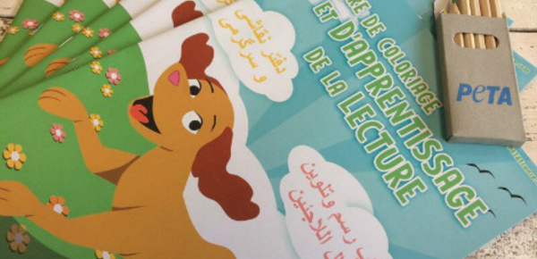PETA s'investit dans l'éducation des enfants réfugiés en France