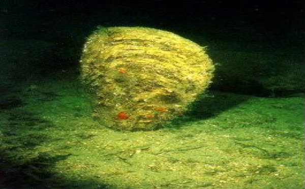 ACTUS DE MONACO ET DE LA REGION