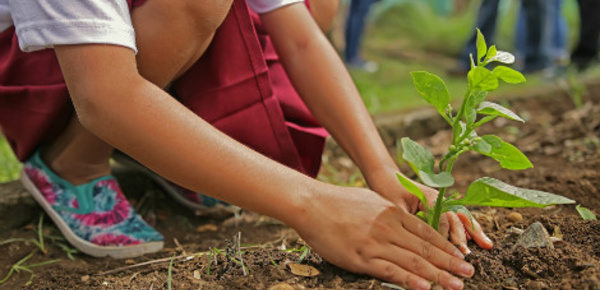 La semaine du jardinage pour les écoles 2017