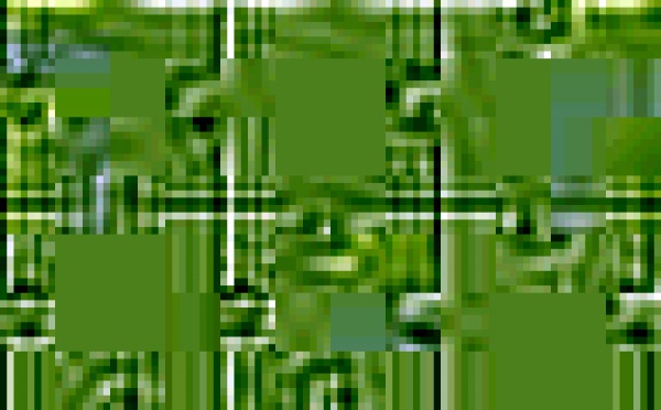 LES PUZZLES  - jeu en ligne