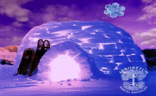 Venez construire votre igloo...