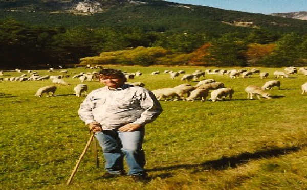 Amoureux du Mercantour, Bernard Bruno a repris le chemin des alpages