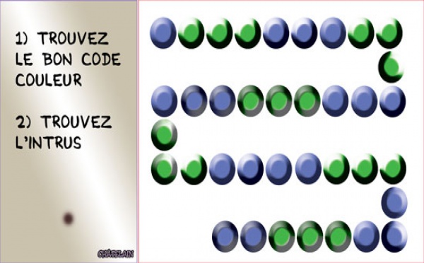Jeu d'observation du 30 décembre 2008