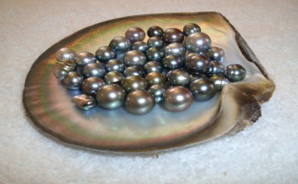 INSOLITE SANS FRONTIERES