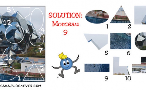 Solution JEU d'observation du 19 janvier 2009