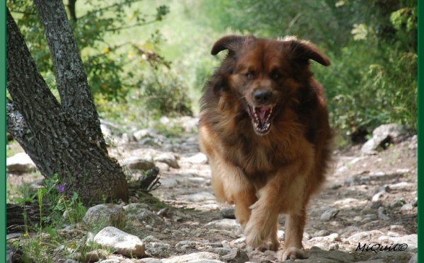Une mise au point très attendue