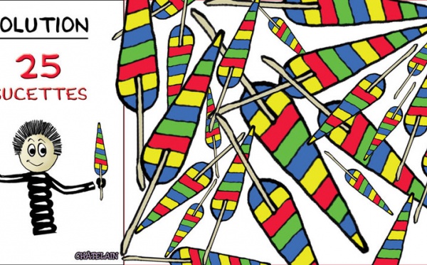 Solution du jeu d'observation du 28 janvier 2009