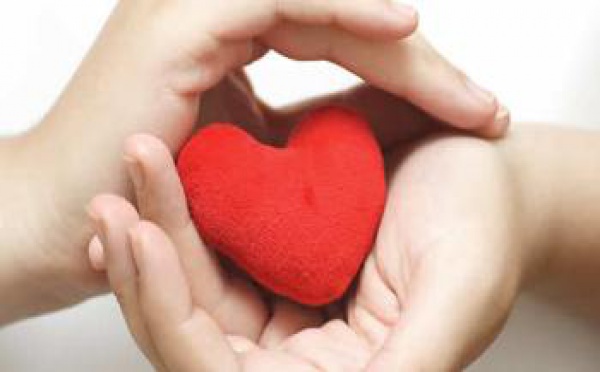 Je serai à nouveau seul(e) pour la Saint Valentin… Qui veut de moi ?