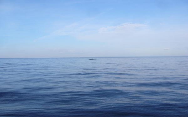 Océans et Nuits - Poème