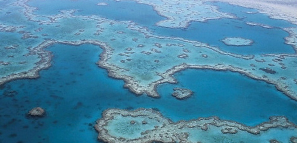 Le plus grand récif corallien du monde en péril