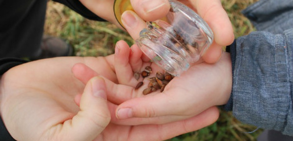 "Économe sweet home": sur la route de l’autonomie