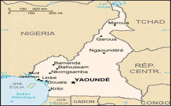 Chronique du Cameroun