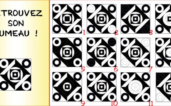 Jeu d'observation du 10 mars 2009