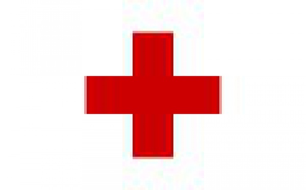 Croix-Rouge camerounaise : l'amitié qui vaut une ambulance