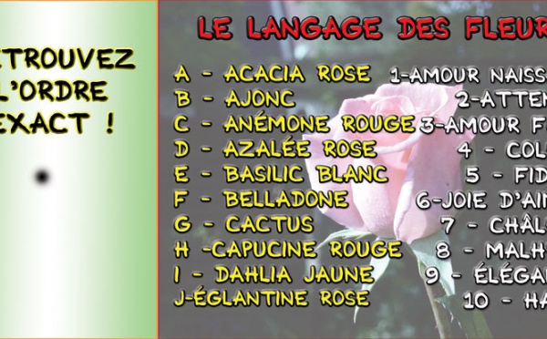 JEU d'observation du 26 mars 2009