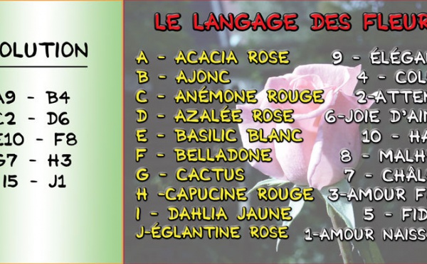 Solution du JEU d'observation du 26 mars 2009