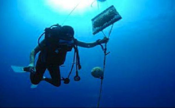 Campagne de surveillance en Méditerranée
