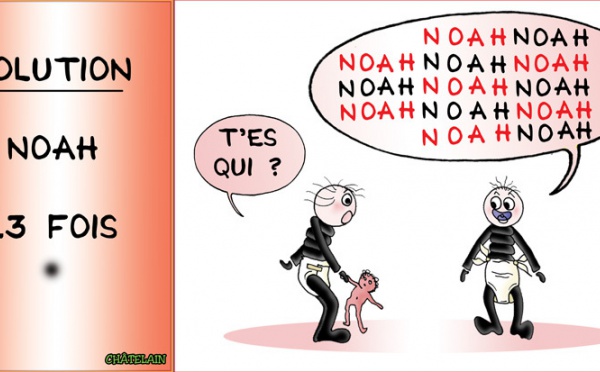 SOLUTION du JEU d'observation du 12 avril 2009