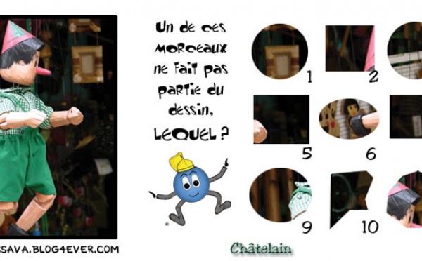 JEU d'observation du 24 avril 2009