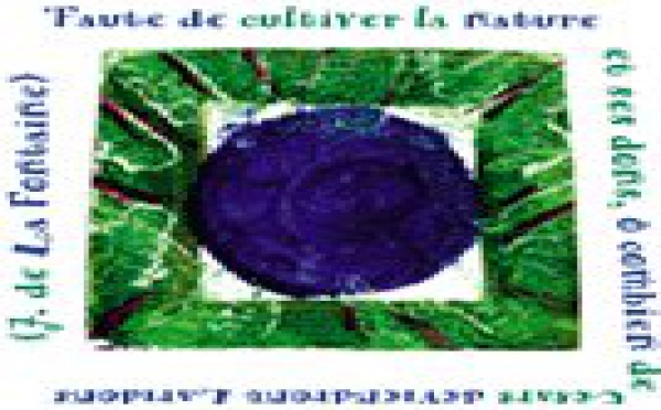 13e Grand Prix de l'Environnement - Appel à candidature