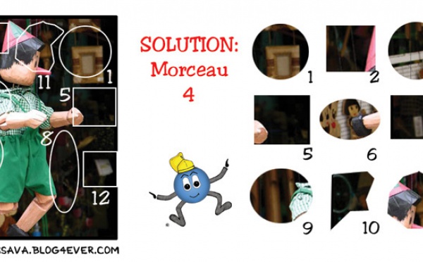 Solution du jeu d'observation du 24 avril 2009